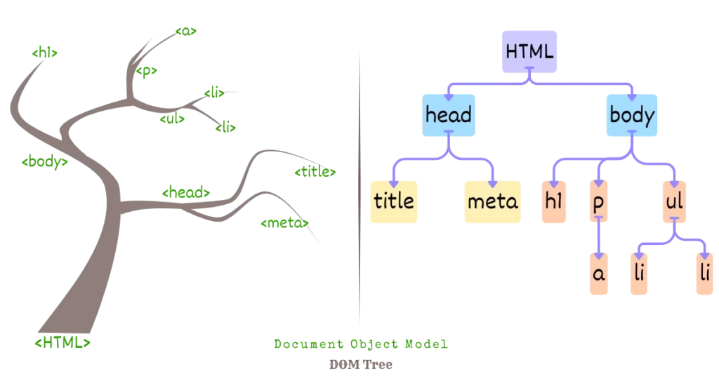 DOM Tree 